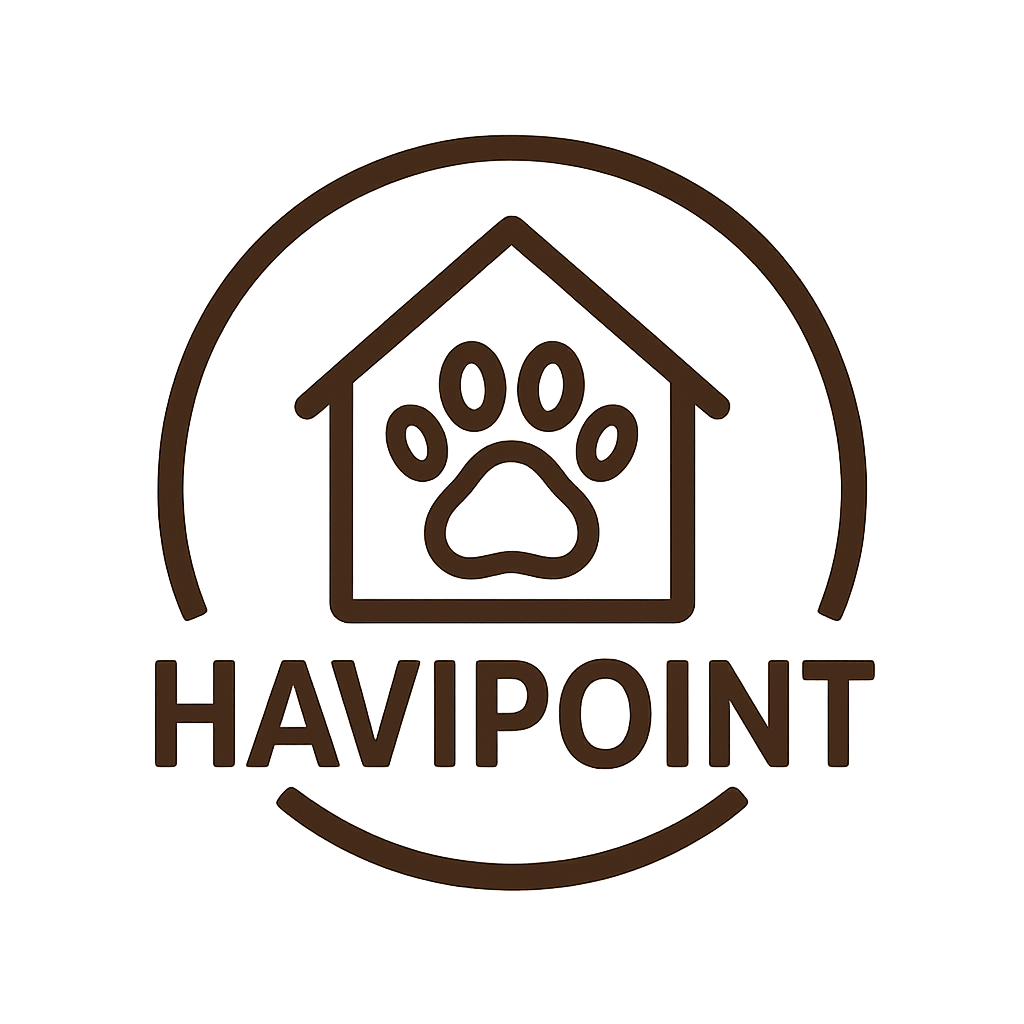 havipoint bez pozadia